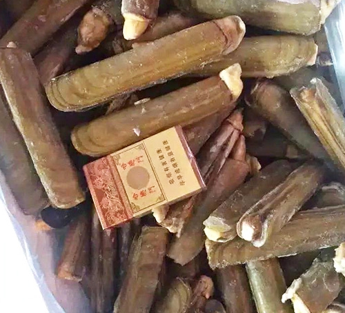 蛏子