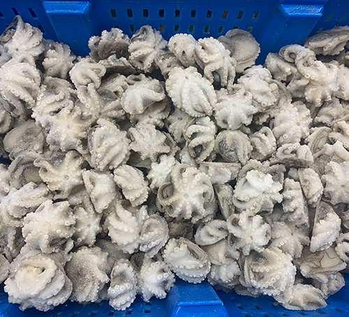 八爪鱼加工